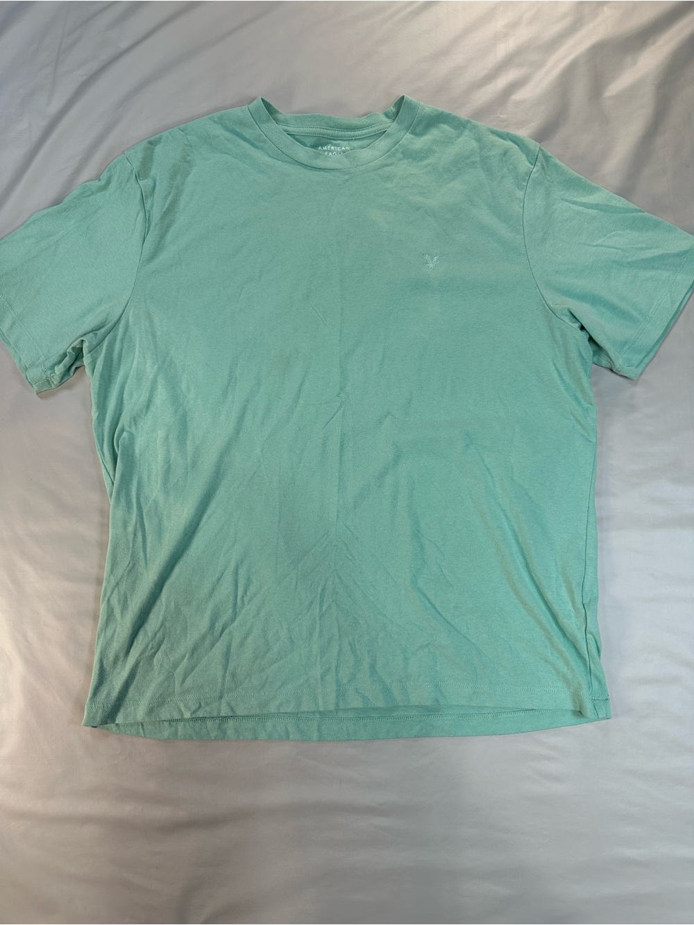 American Eagle Outfitters Men's Large Crewneck Tee - Seafoam
